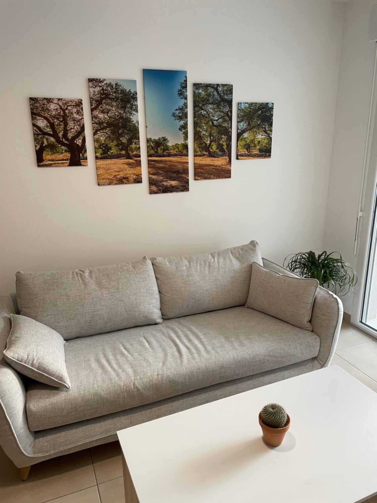 L'Ecrin Des Oliviers Apartment Grasse Cameră foto